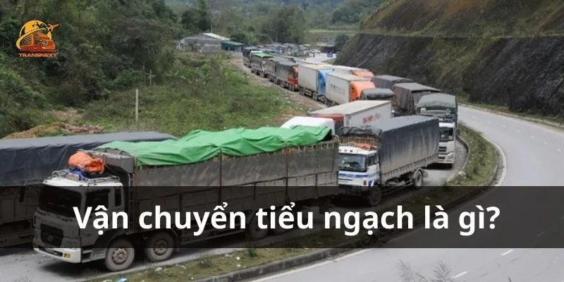Vận chuyển tiểu ngạch là hình thức trao đổi hàng hóa quy mô nhỏ giữa cư dân biên giới